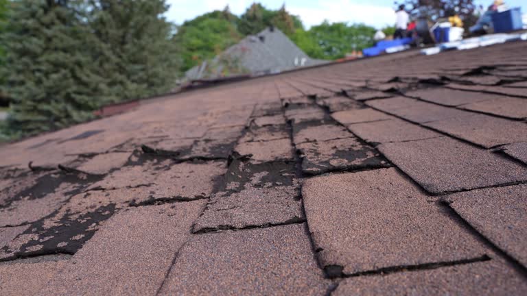 Best Green or Eco-Friendly Roofing Solutions  in Perry Heights, OH