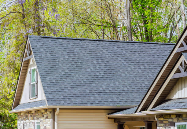 Best Roof Moss and Algae Removal  in Perry Heights, OH